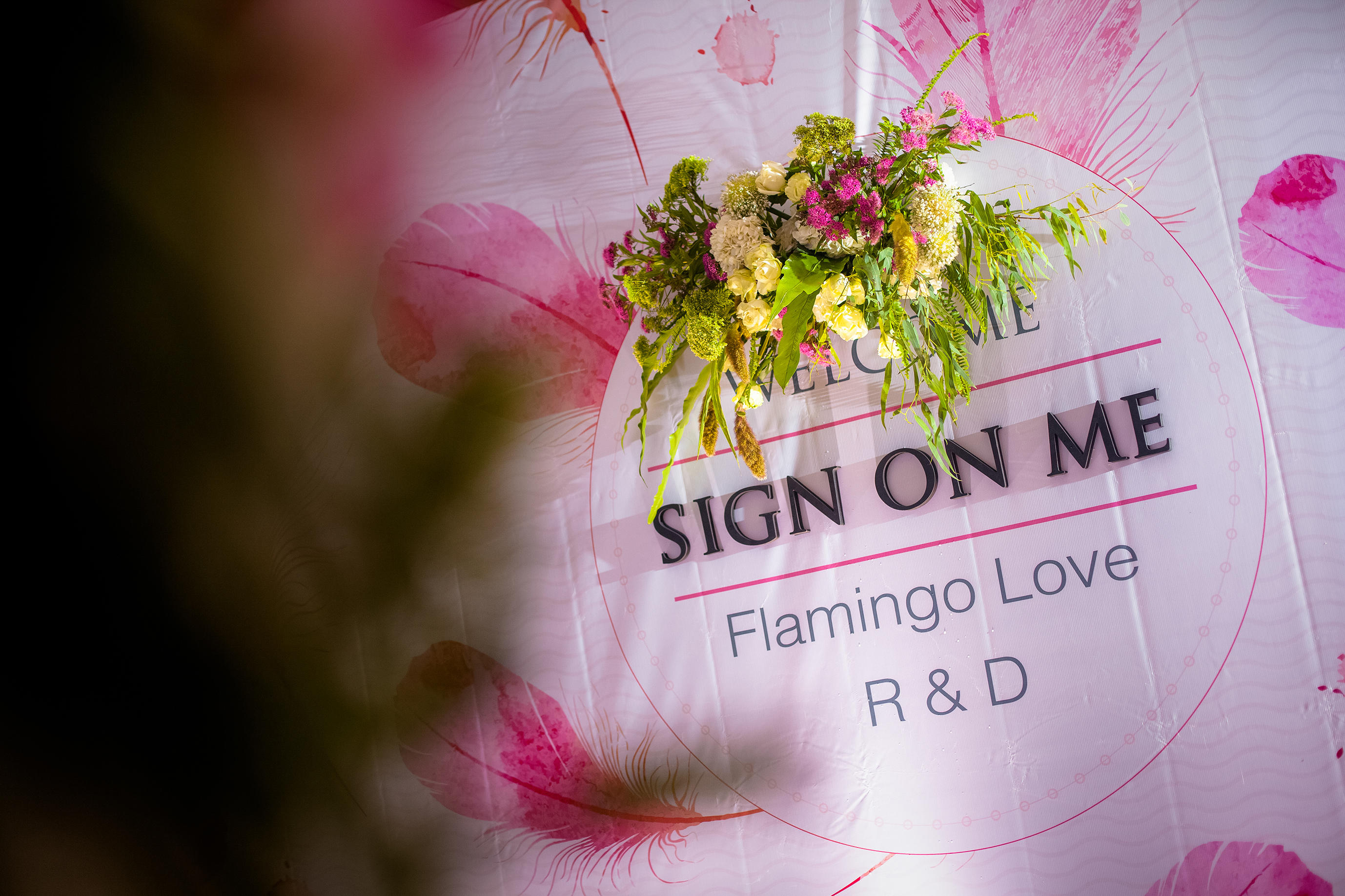 Flamingo love