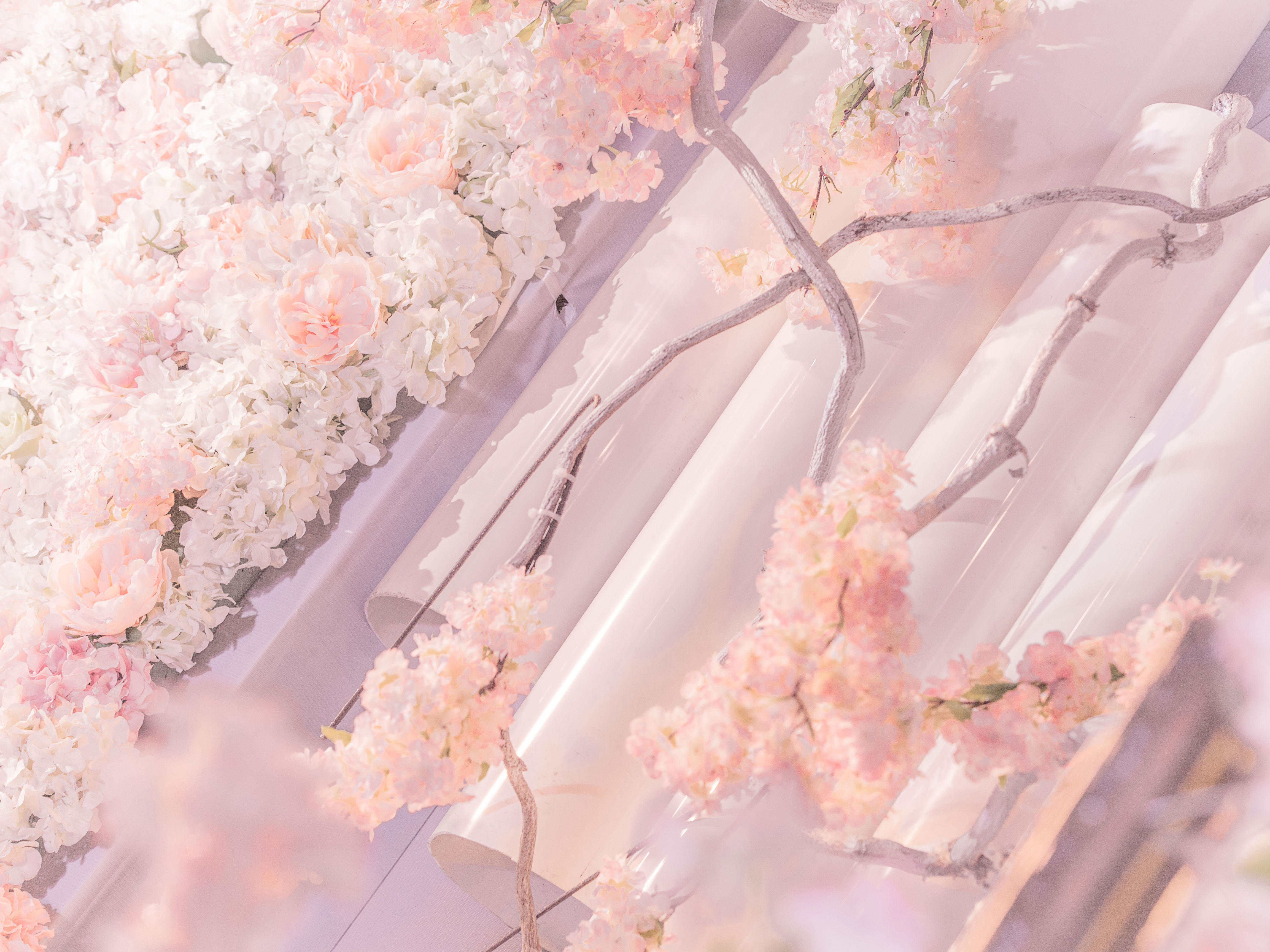 天禧婚礼策划——梦中的婚礼