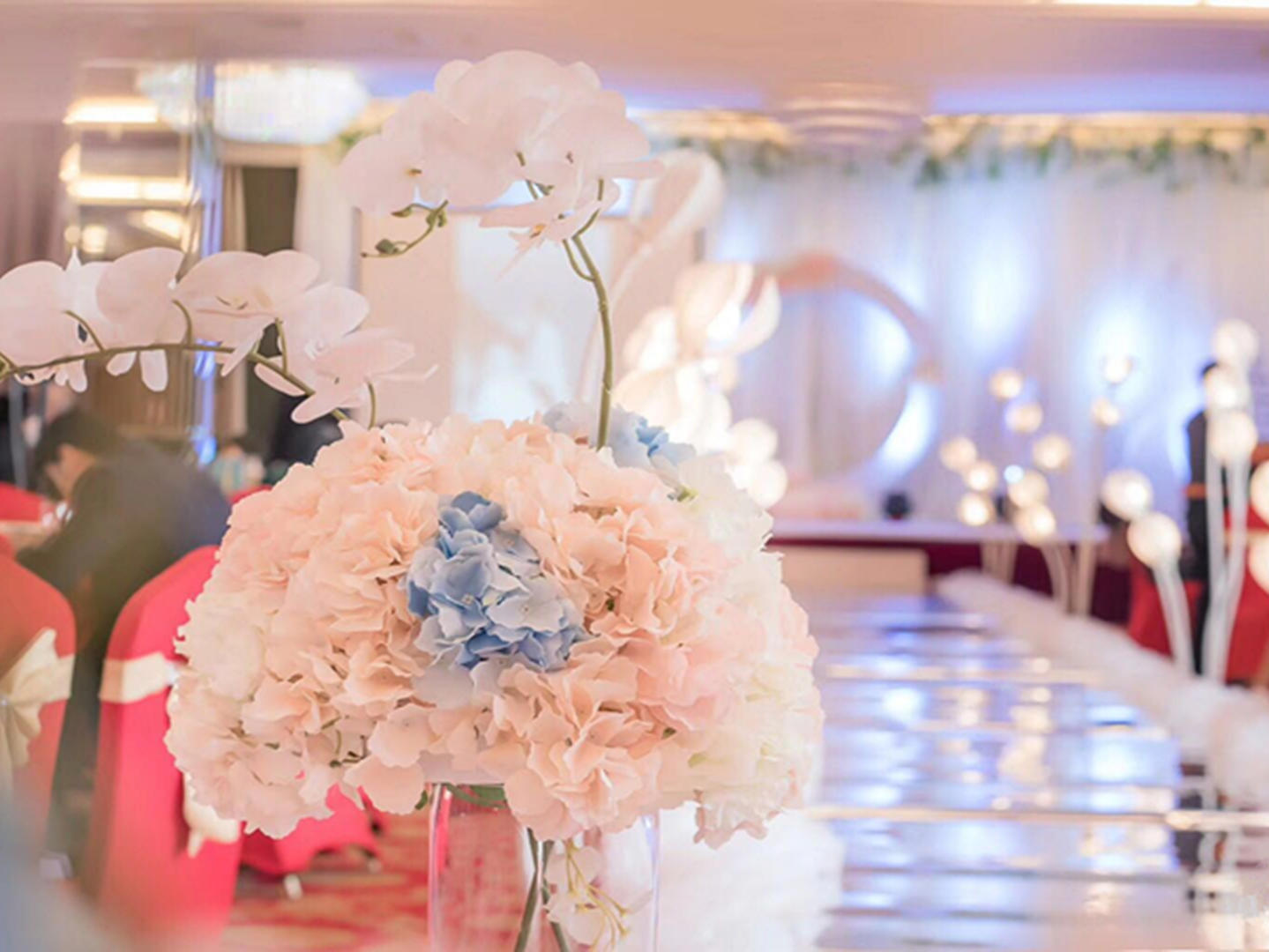 原野婚礼/特价套餐（白色小清新）