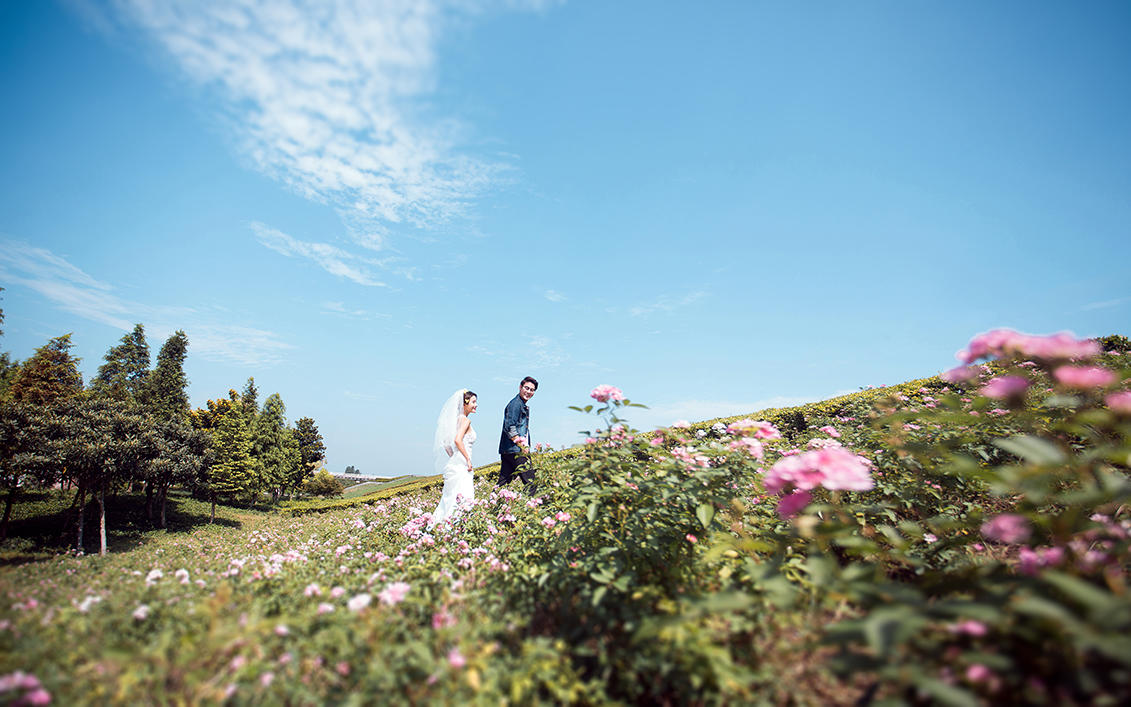 【枫禾映画】最美证件照99