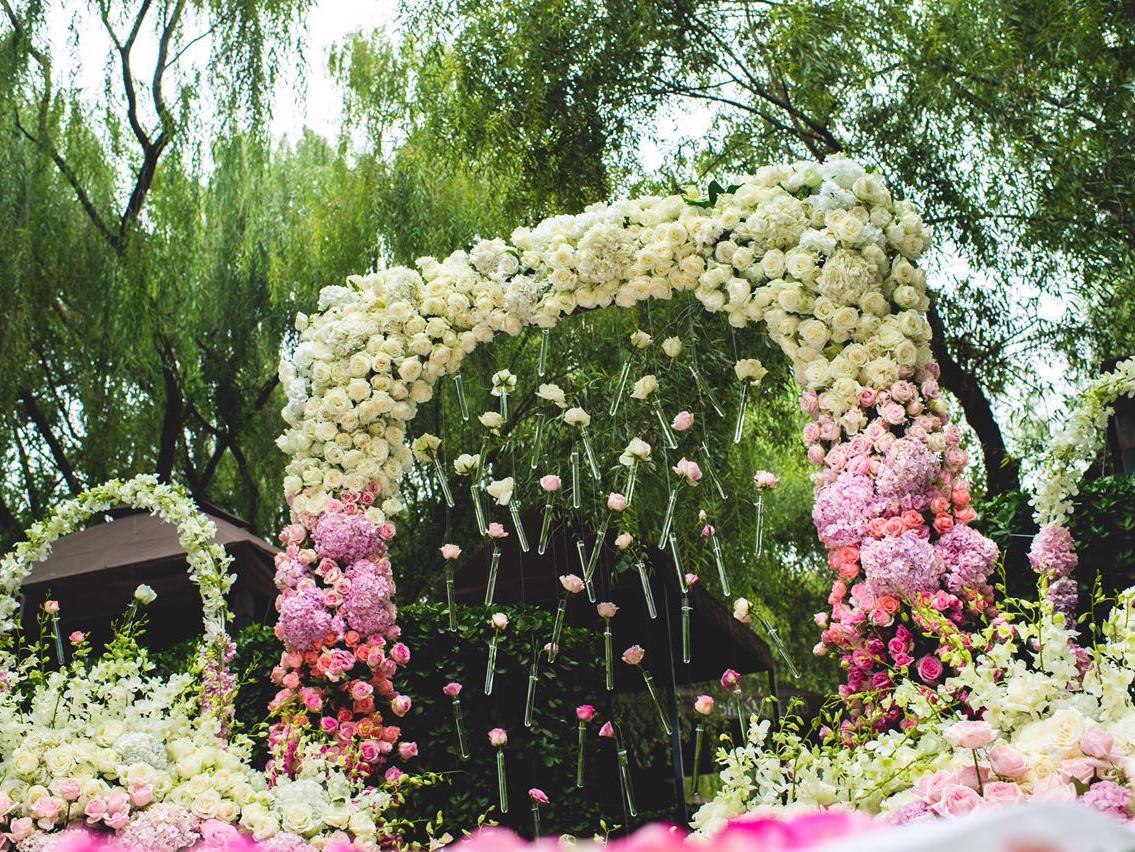 LEPAD乐派福楼渐变色《卡农》