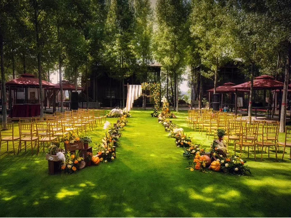 #向日葵#室外田园风小清晰婚礼