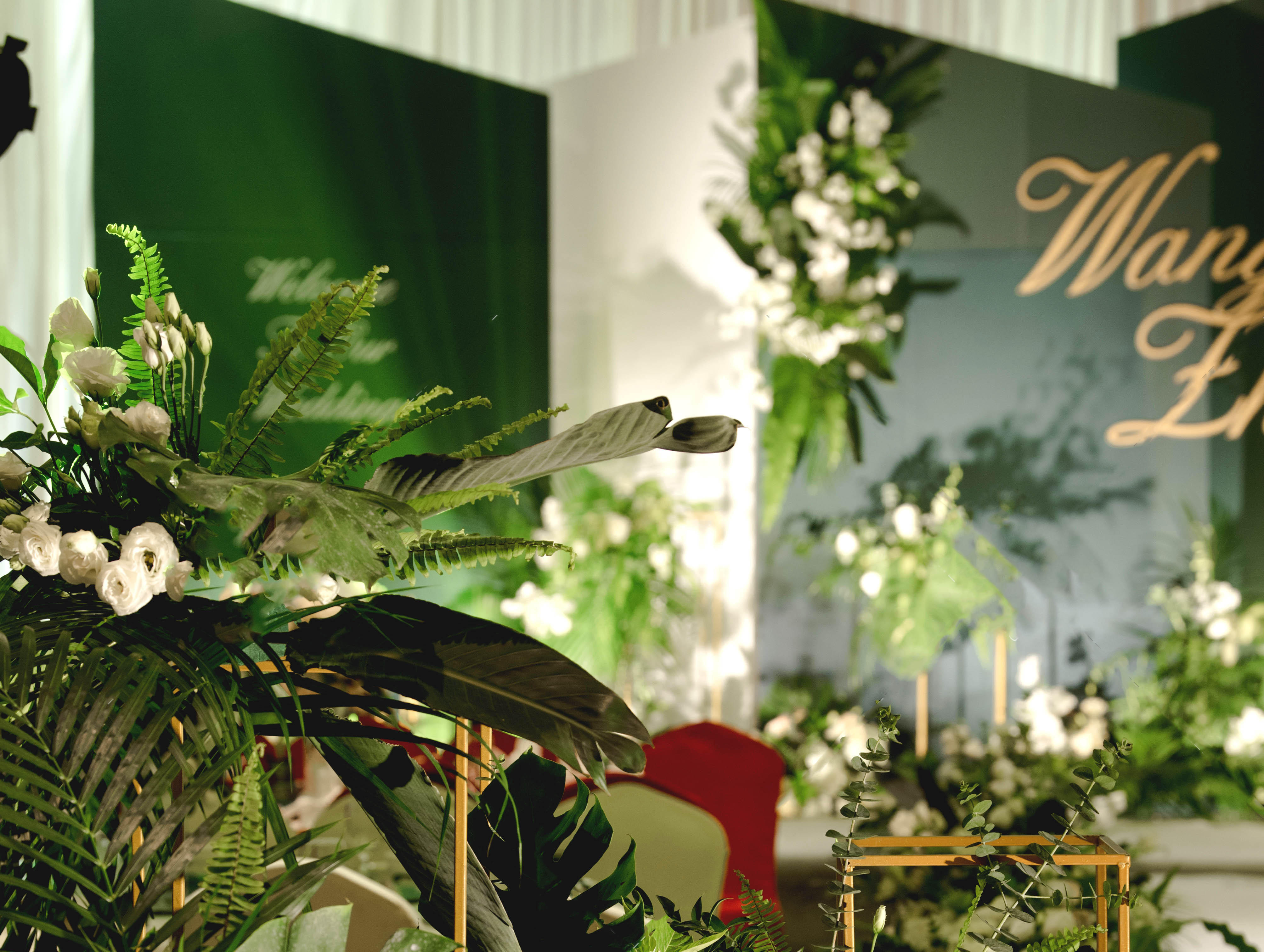 爱度婚礼-韩式清新森林系套餐