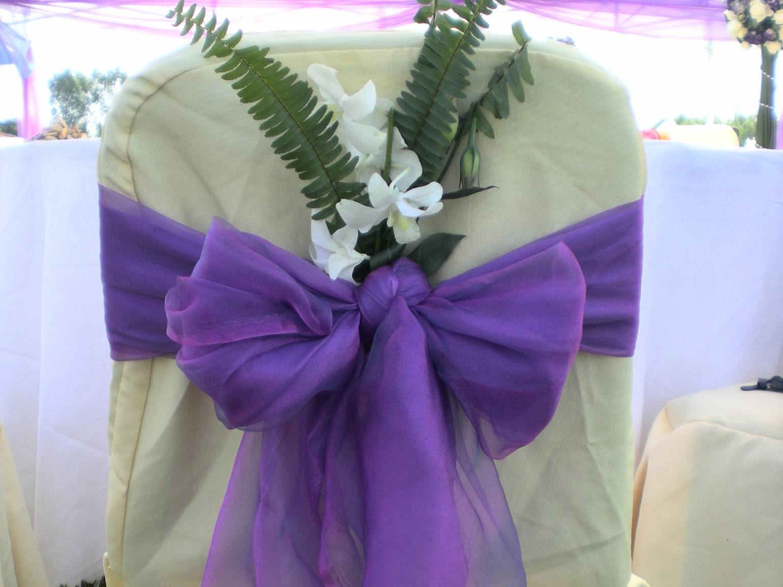 【特陌洛】紫色草坪婚礼/裸婚套餐系列