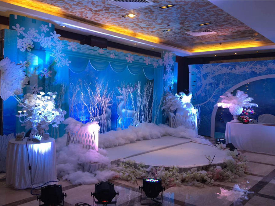 兮心爱梦冰雪主题婚礼一站式套餐