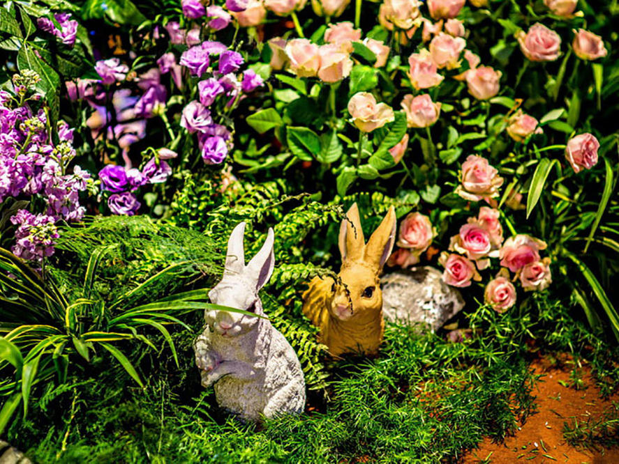 CandyLove-爱的秘密花园 梦幻绿紫色调