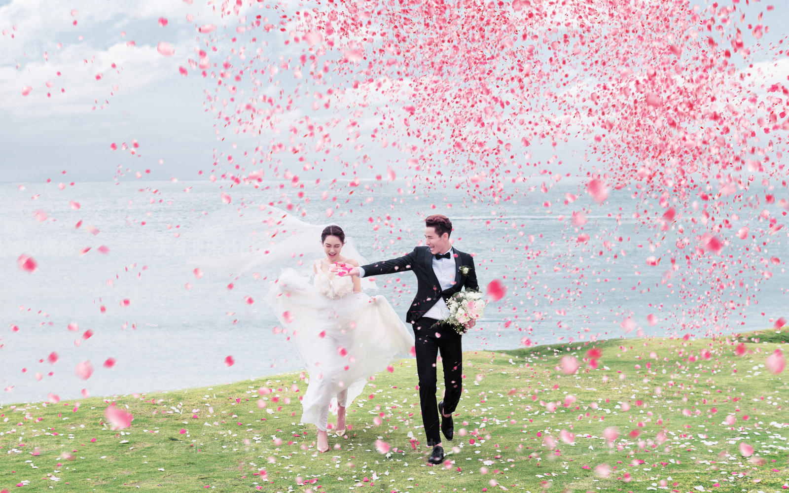 【桃之夭夭，灼灼其华】2018最新主题