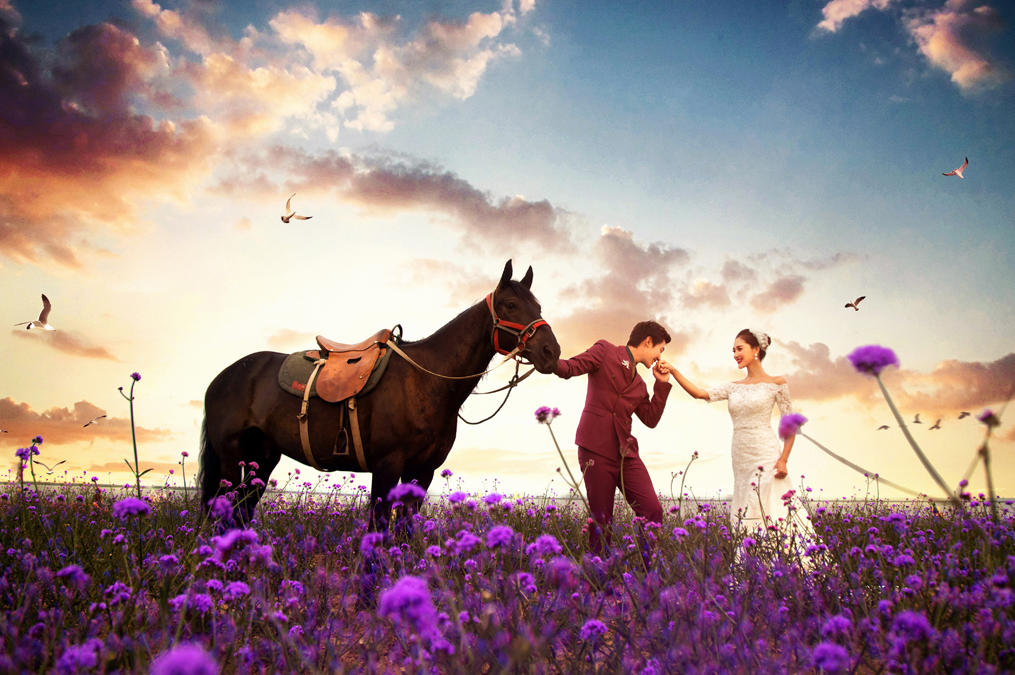 施華洛《經(jīng)典》