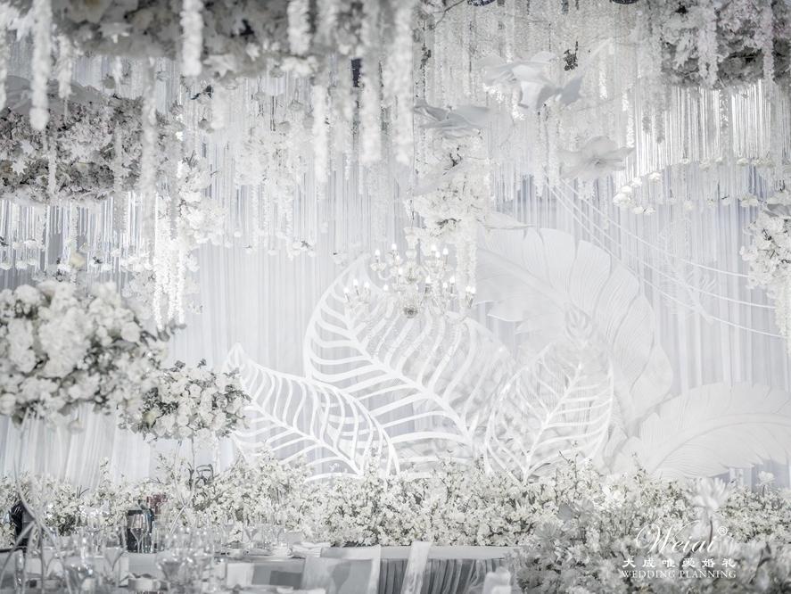 【超人气奢华唯美】异度八分白