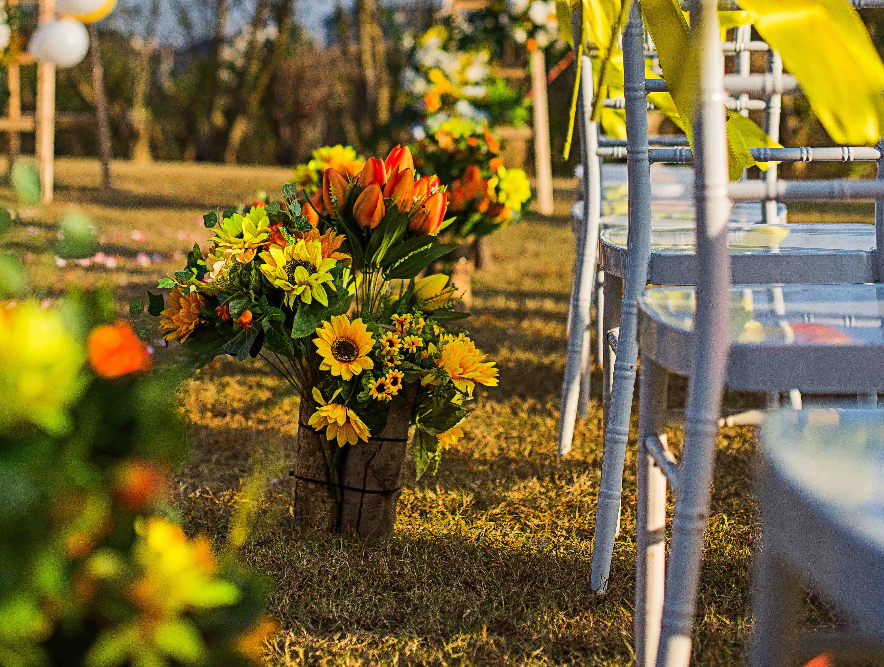 【草坪婚礼】暖阳【百灵鸟婚礼】