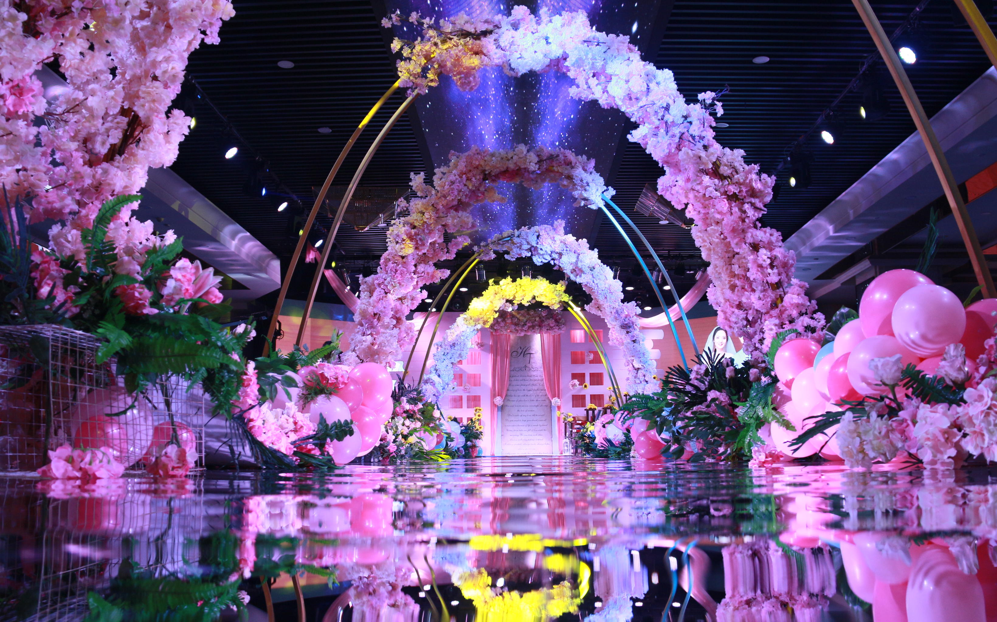 【喜事儿礼仪服务机构】18年爆款套系 动物乐园