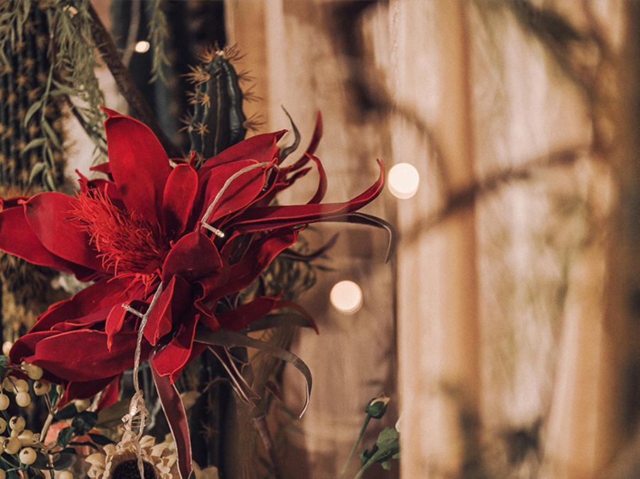 人气特惠套餐之选 随心而动