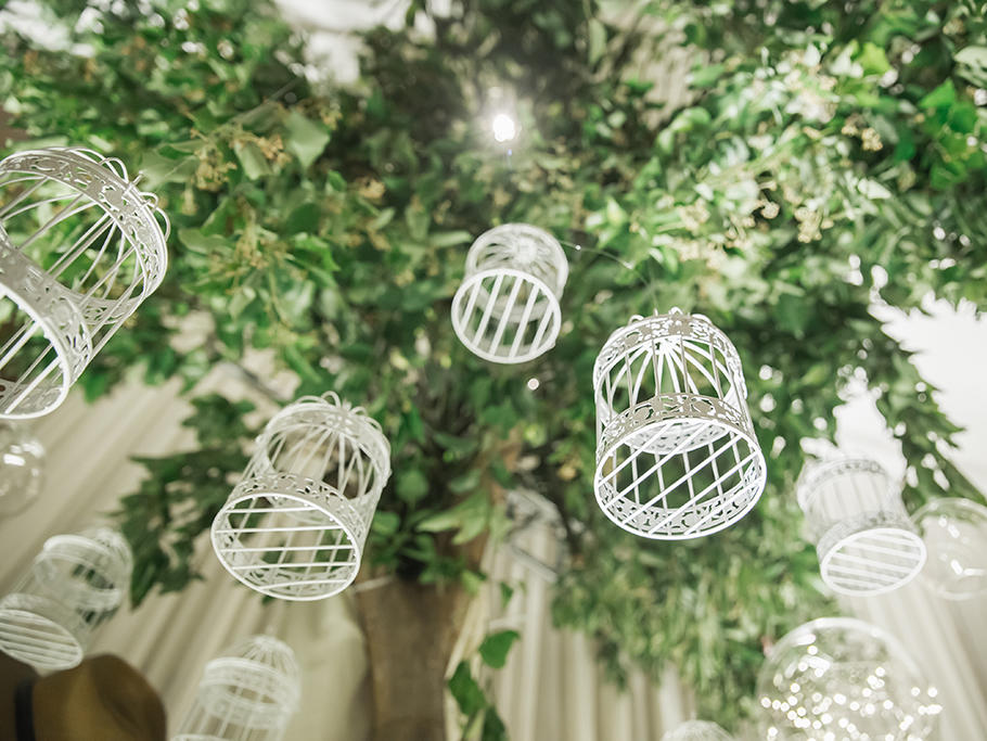 [铂琳婚礼]我的灵魂突然春天