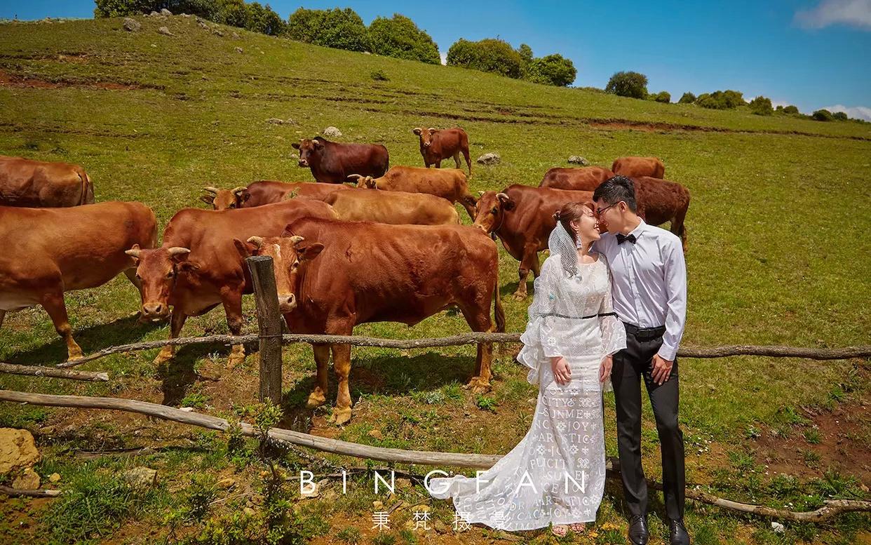 【秉梵摄影】超高性价比 / 最美新娘