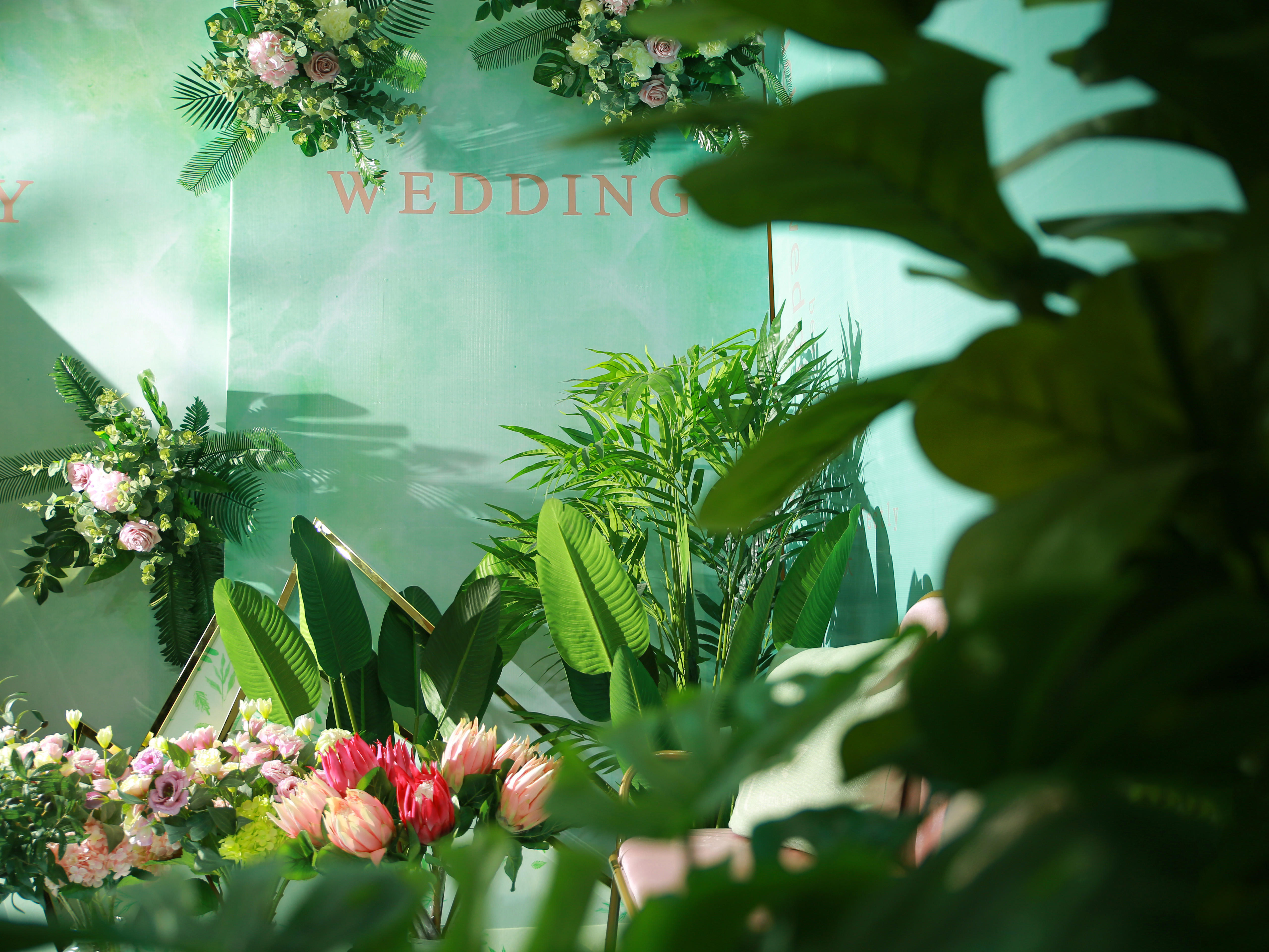 lucky green 【百灵鸟婚礼】