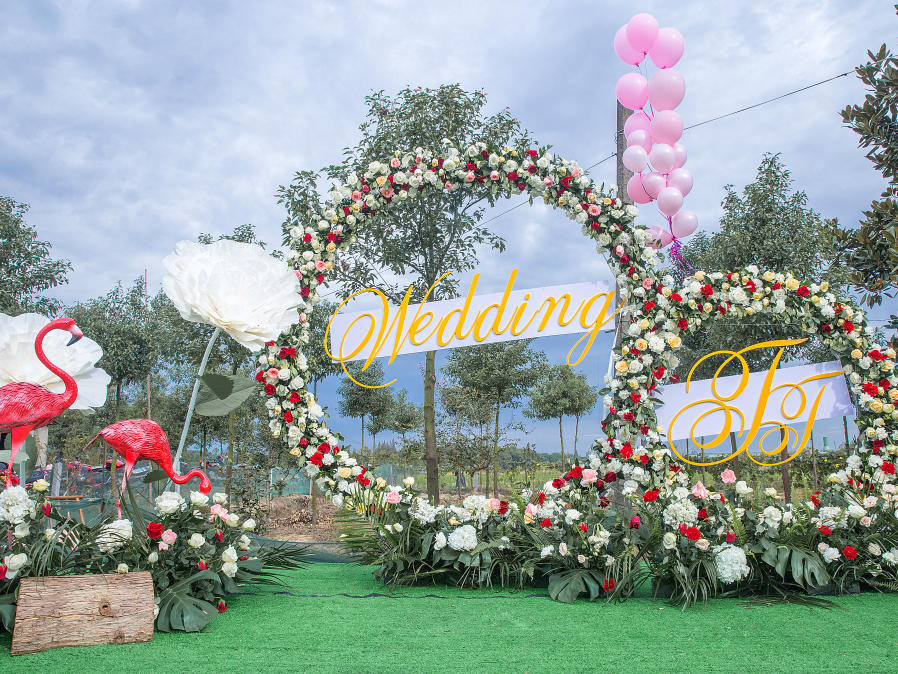 创意仪式-清新--小树林