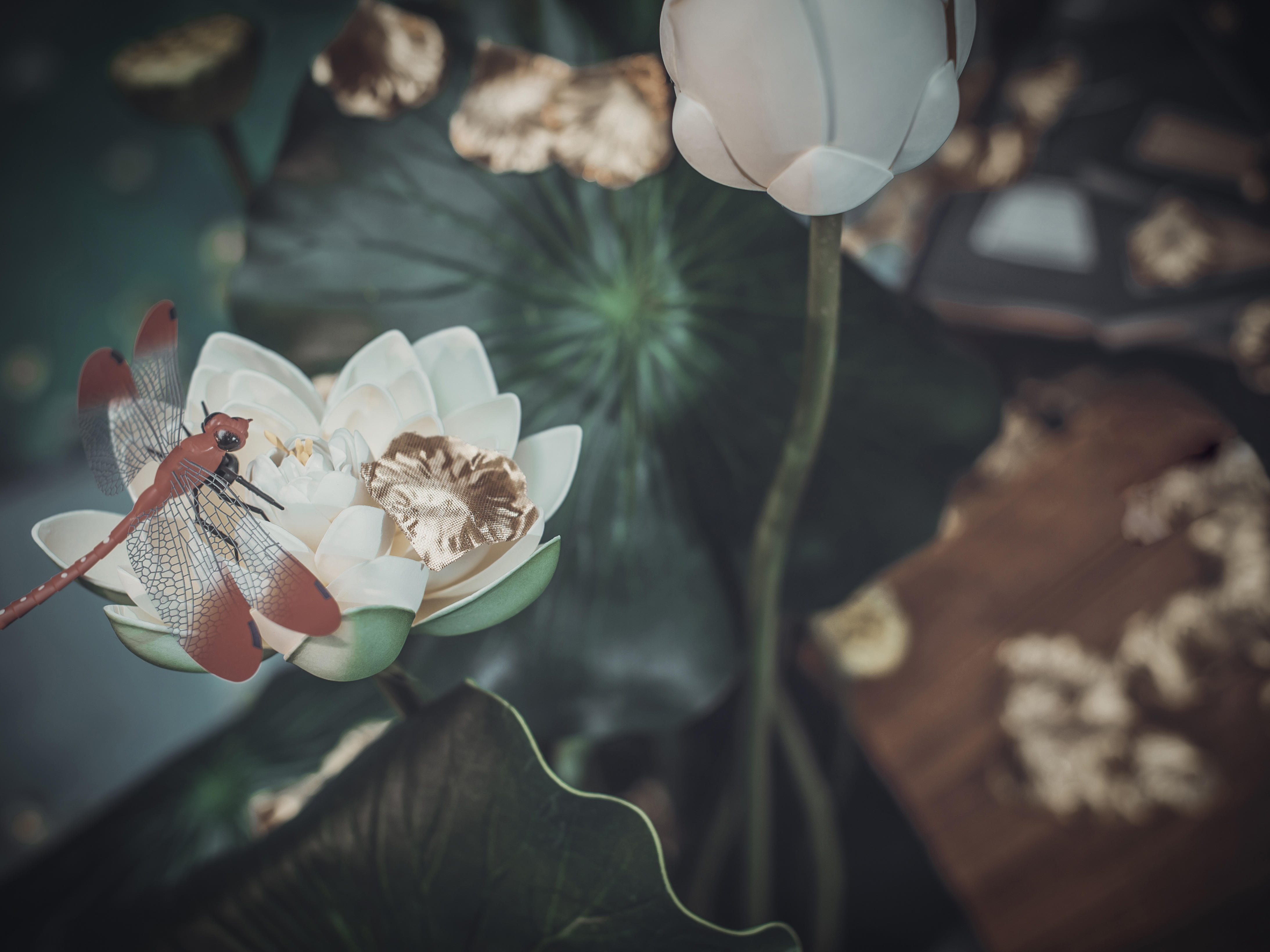 合禧丨DreamPark·莫兰迪系新中式婚礼