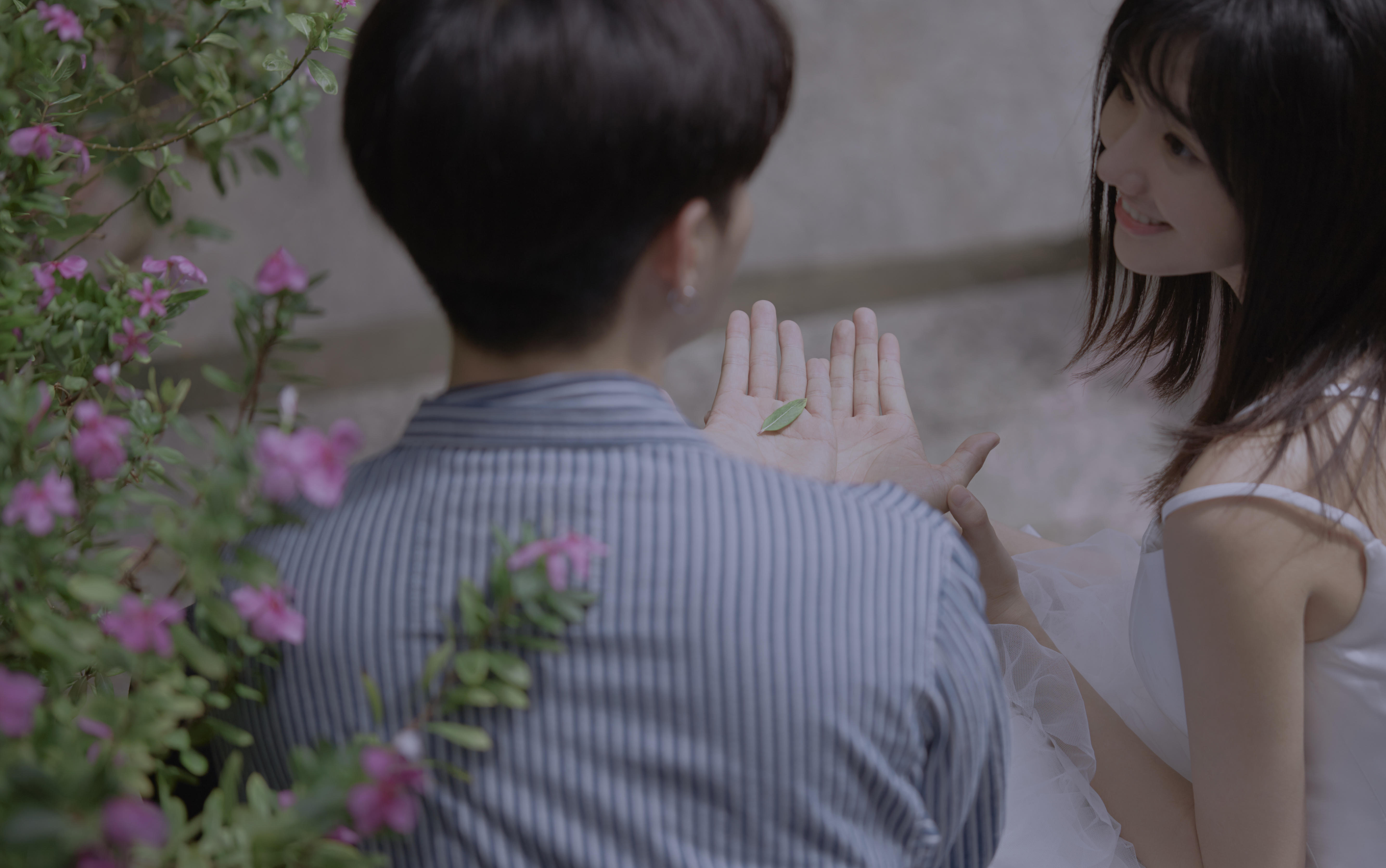 【廈門臺北莎羅 ? 原創(chuàng)系列】曾厝垵-花季花開