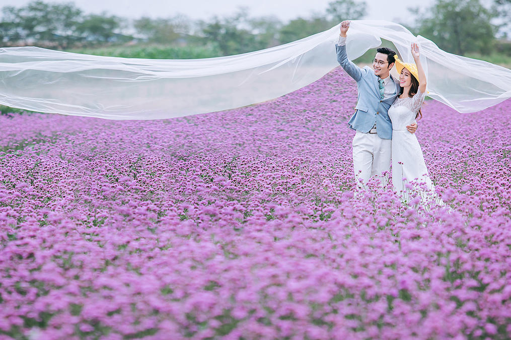 《花海》