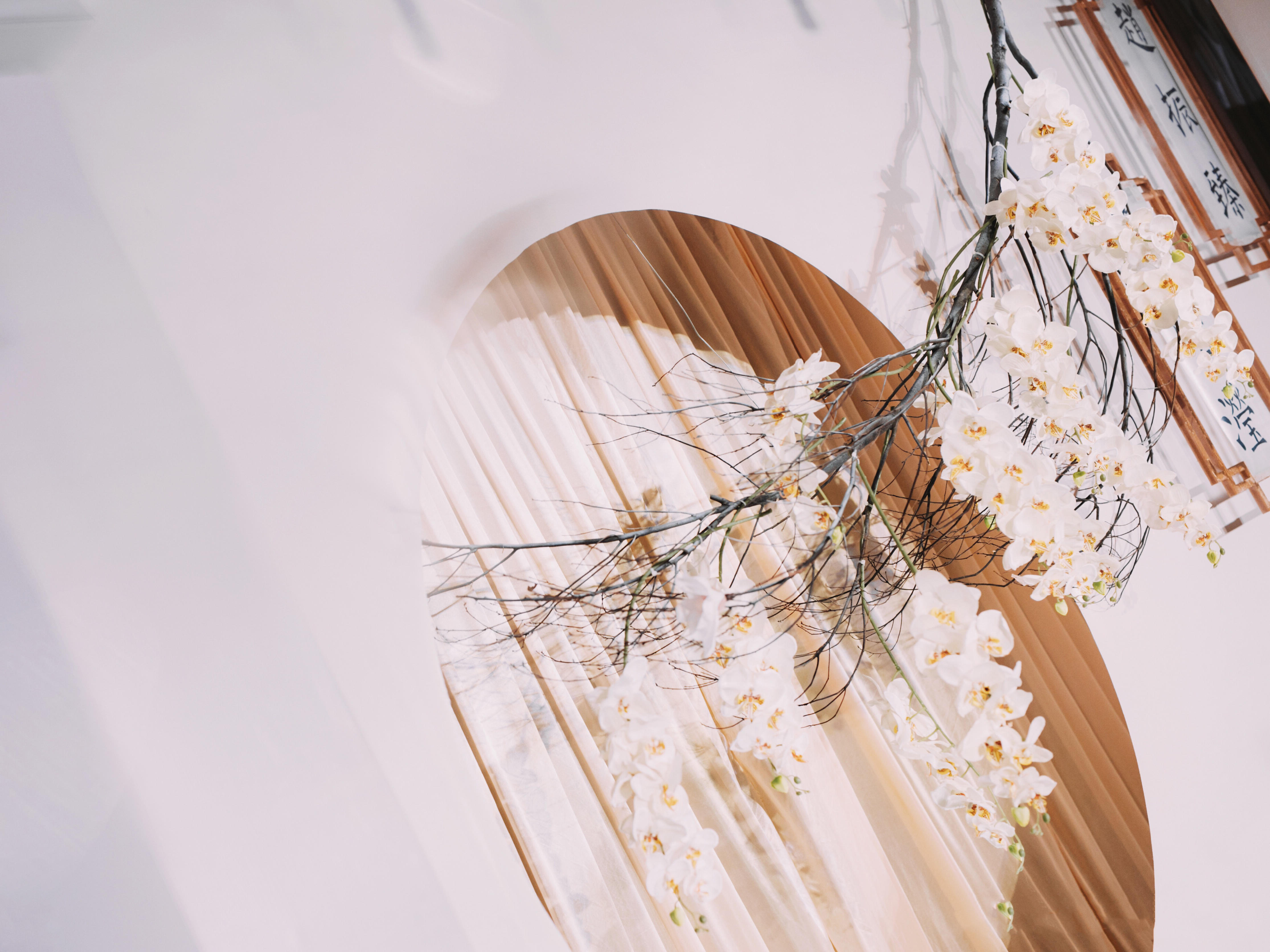 【落叶乔木】小预算之选简约婚礼