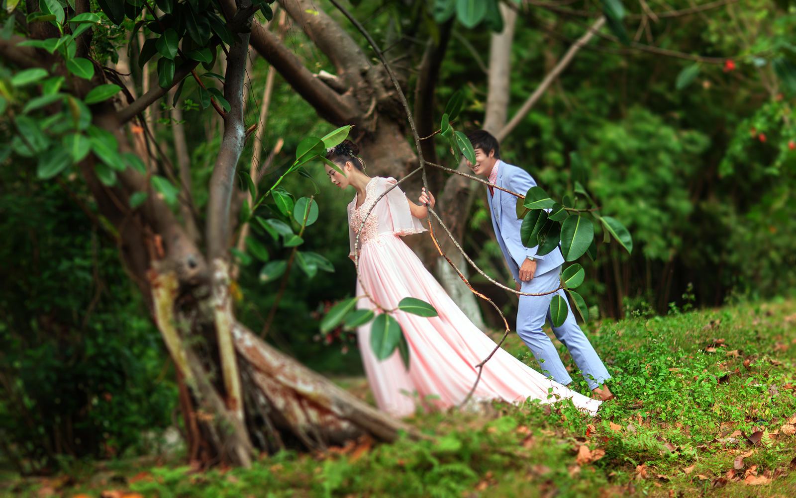 【木西旅拍】6666全包價(jià) 11、12月火熱招募