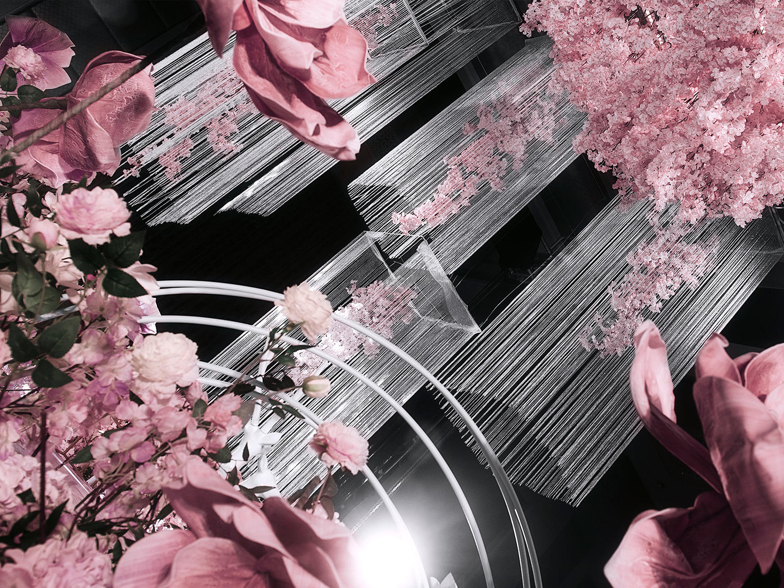 【童话盛宴】 Bloom