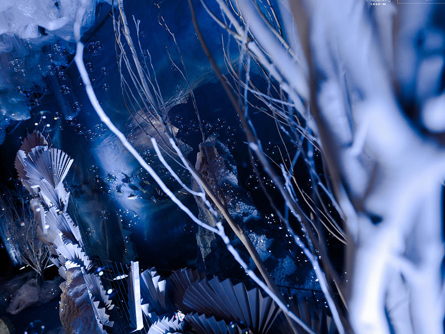 【爆款套餐】蓝色深海的秘密 海岛鱼说