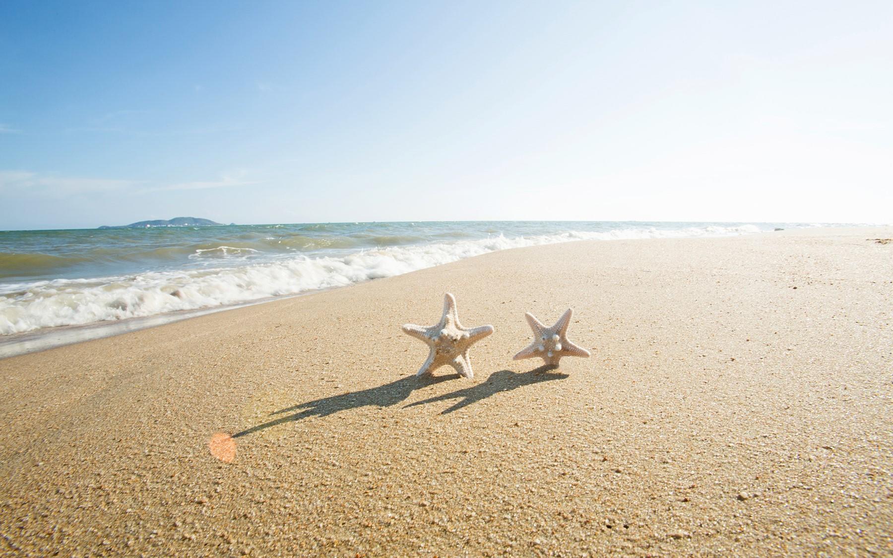 机票补贴【服装不限】+VIP接机+蜜月酒店3晚