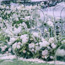 【VOWS】—旋转|新式草坪婚礼，超多花艺