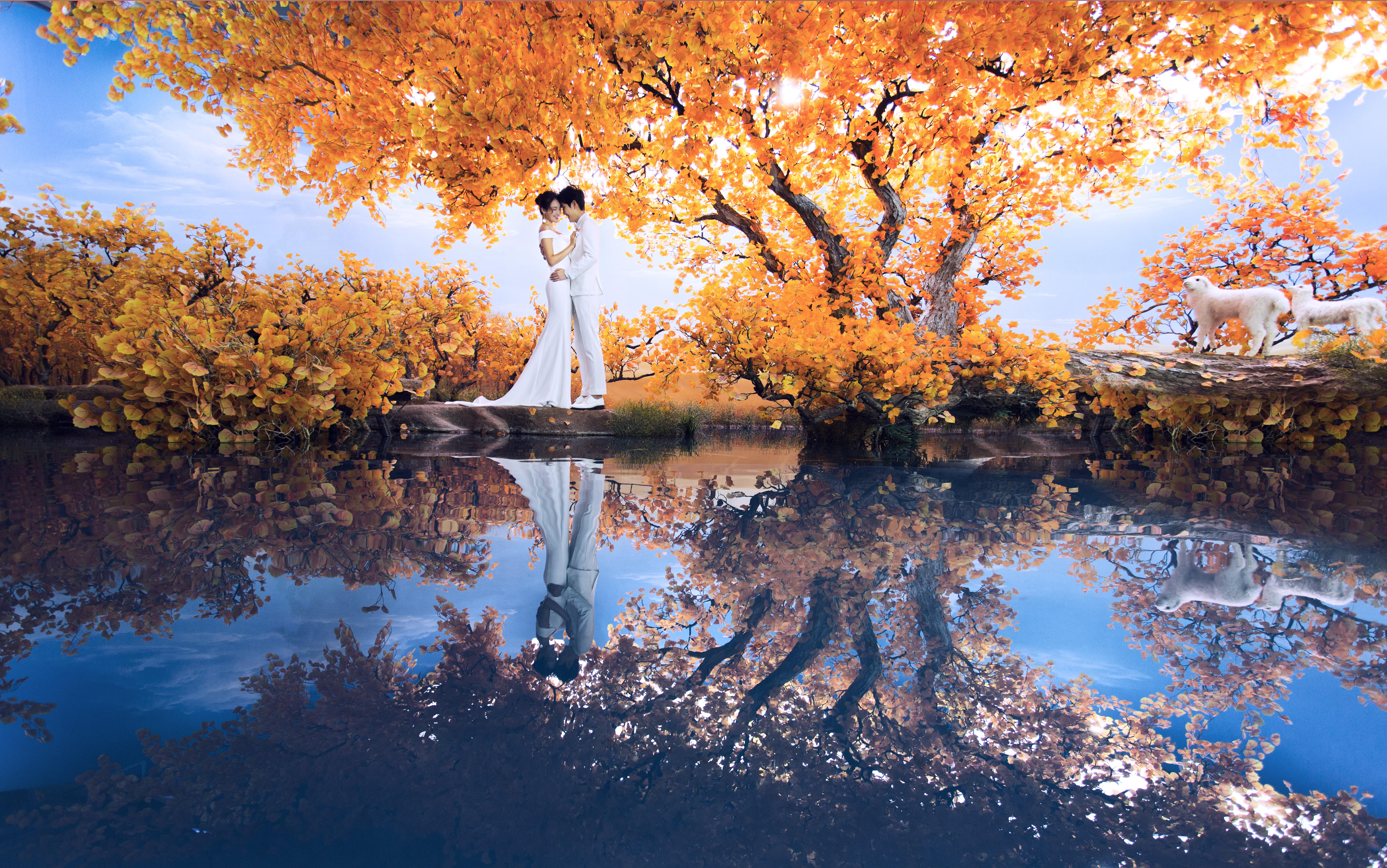 5d实景四季影棚--胡杨林