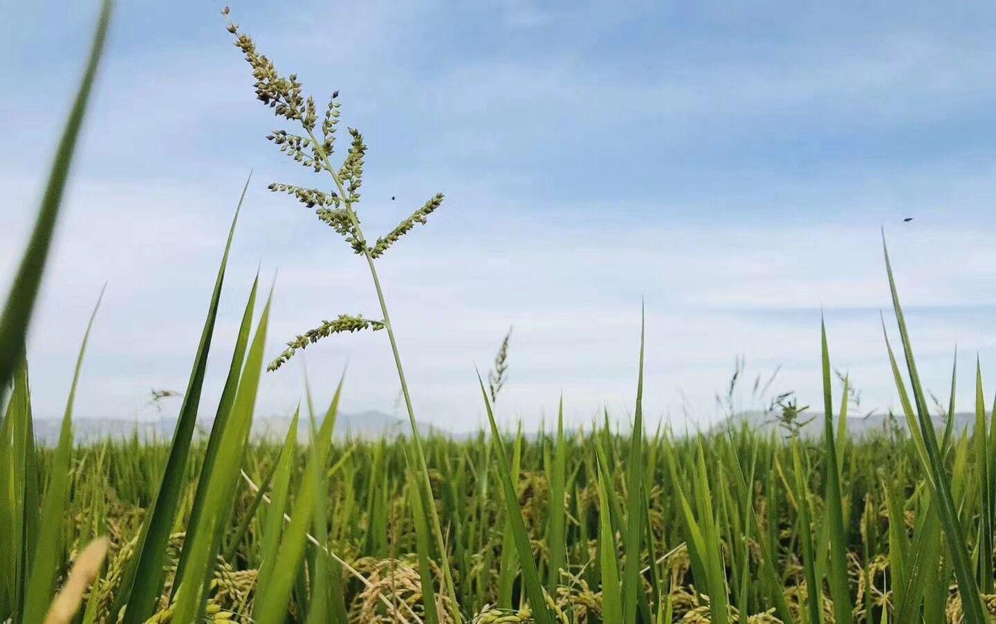 私人定制外景任选+定制拍摄+底片全送