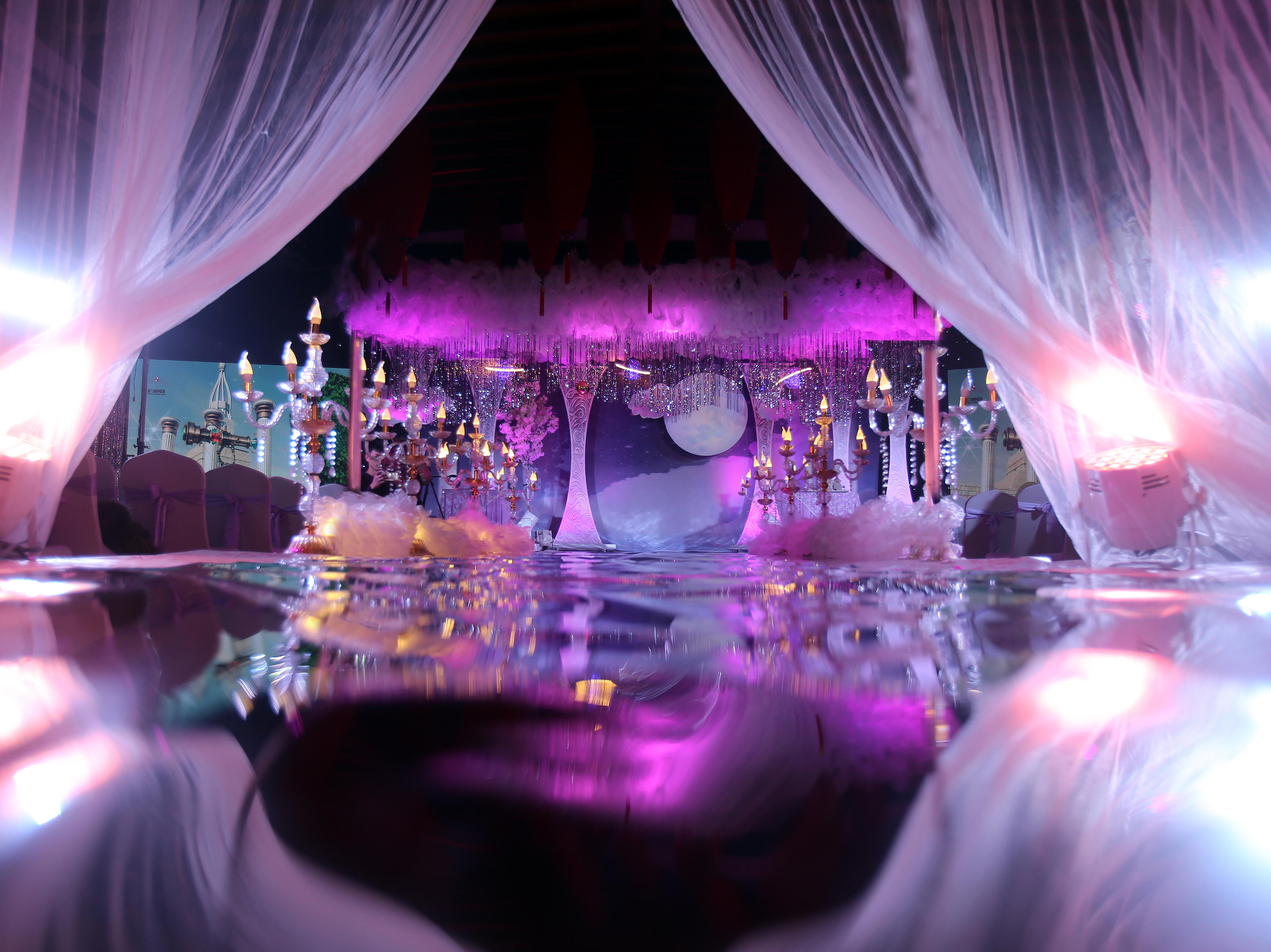 纯白之月——云与树交织成永恒，云雾星辰为你祈愿