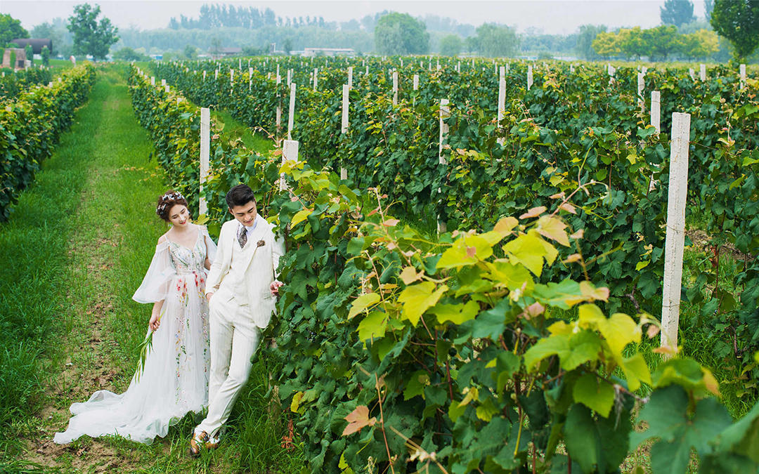 【山城旅拍】 洪崖洞+千廝門+江景+森系+鮮花