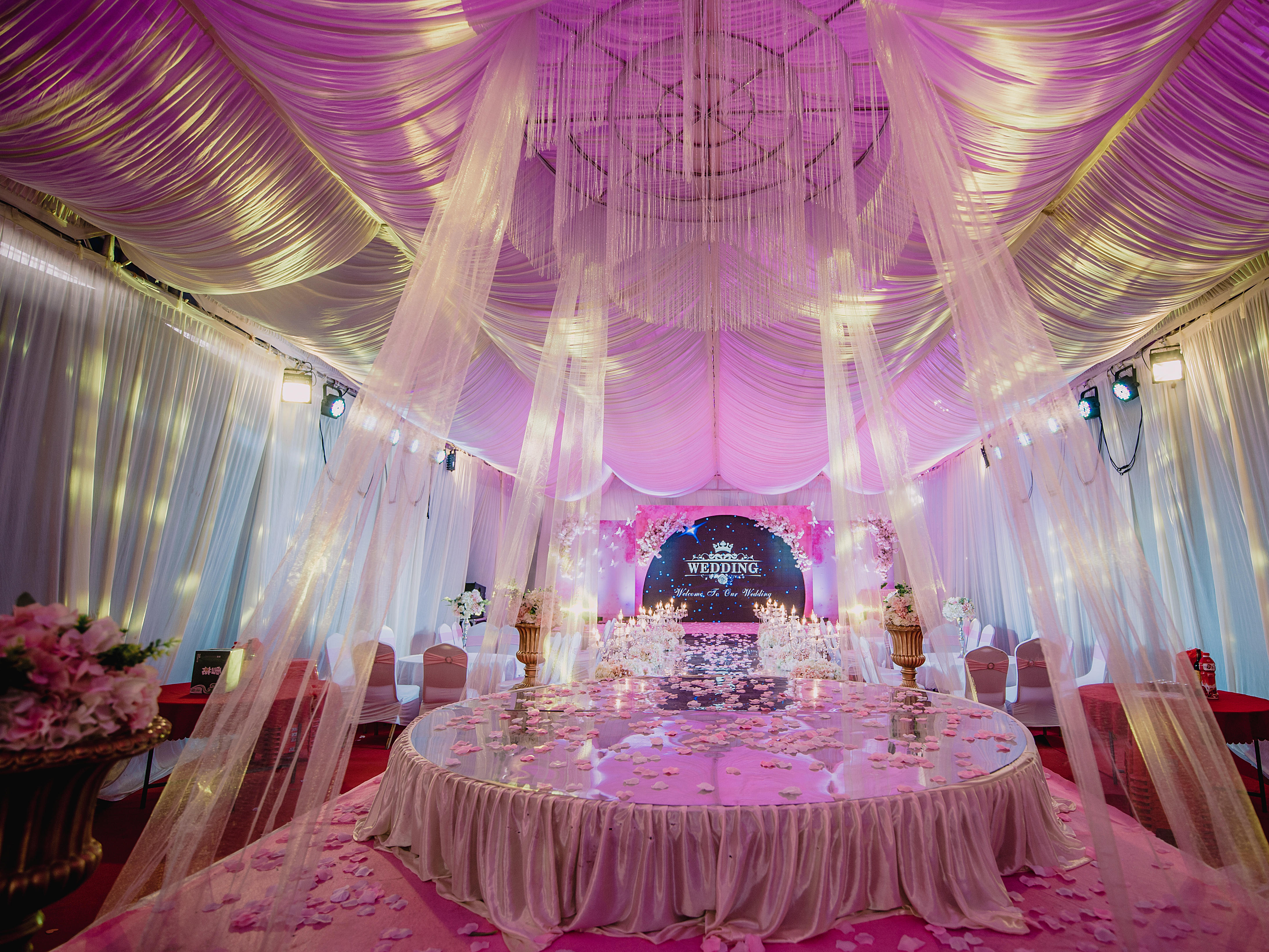 粉色樱花系列。酒店，大棚，小棚都可以做，效果大气