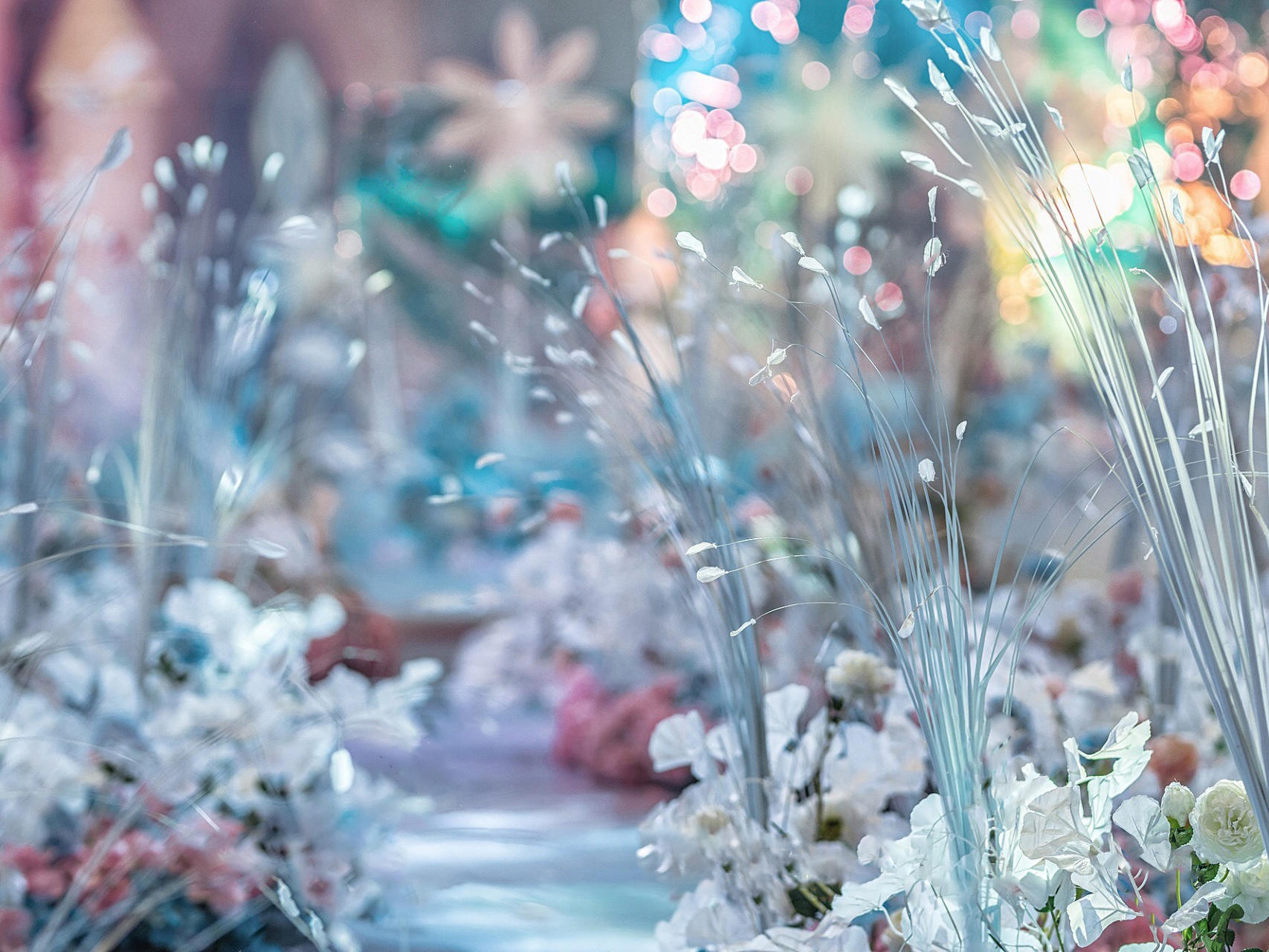 铭泽婚嫁——【大鱼和小鱼的故事】