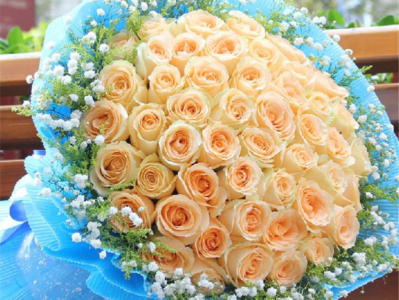 99朵求婚玫瑰花，爱你一生一世