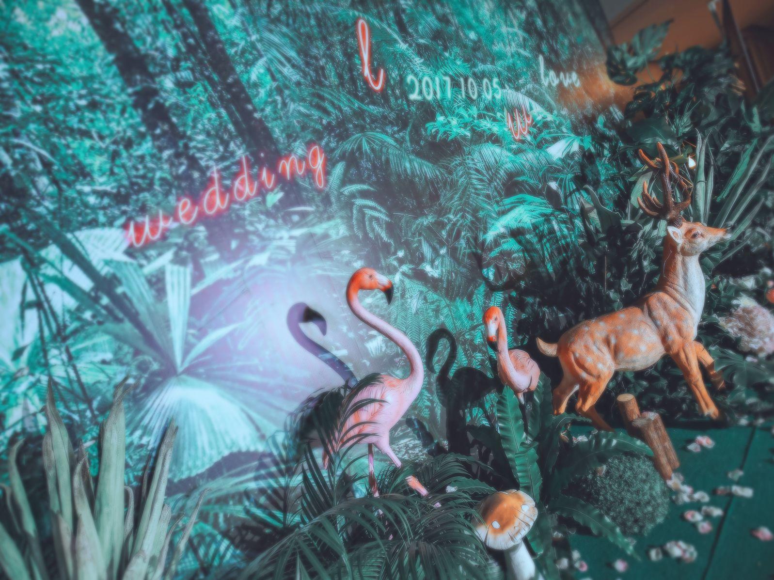 【索菲亚婚庆】奇幻森林 梦幻系列