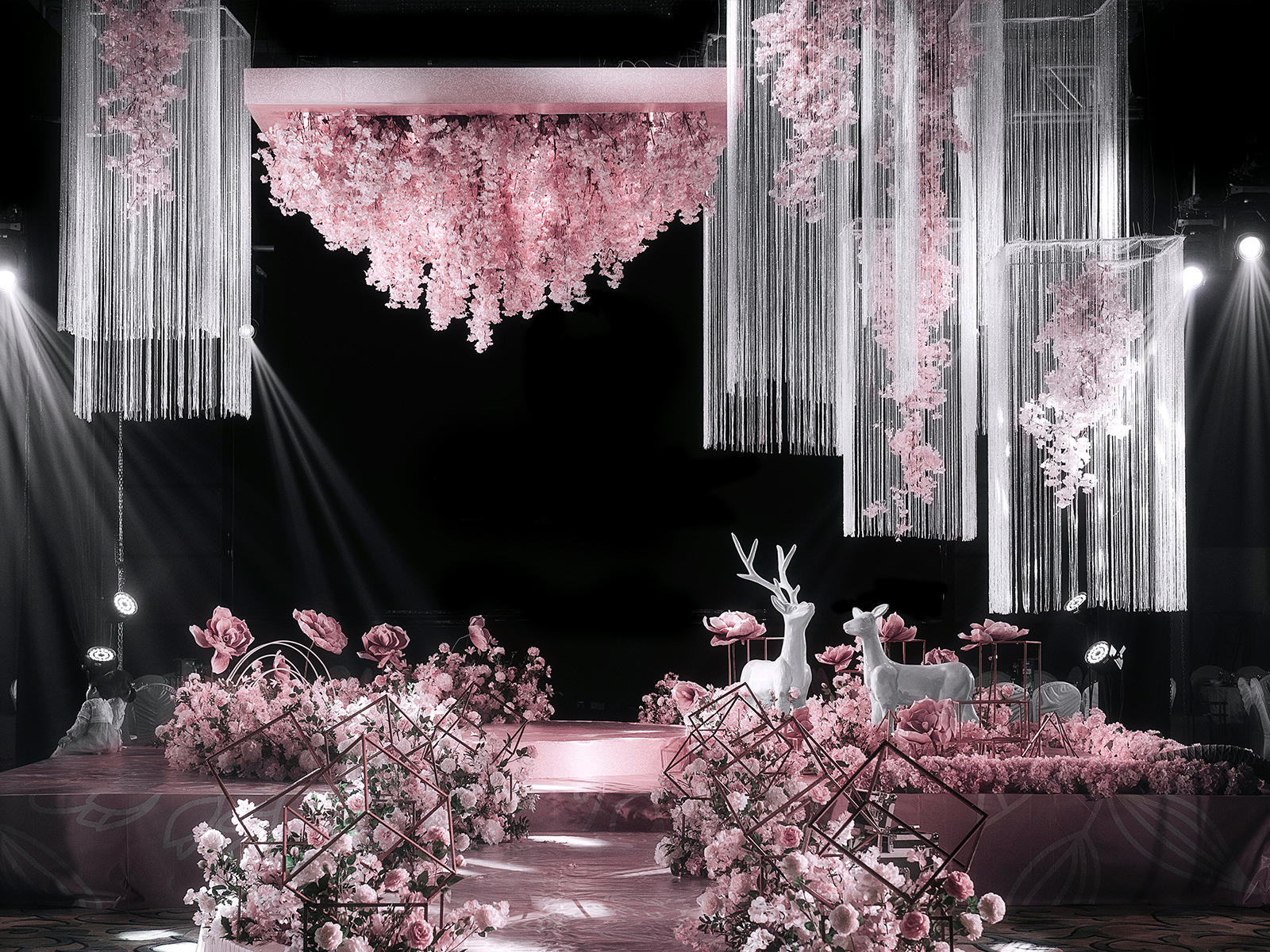 【童话盛宴】 Bloom