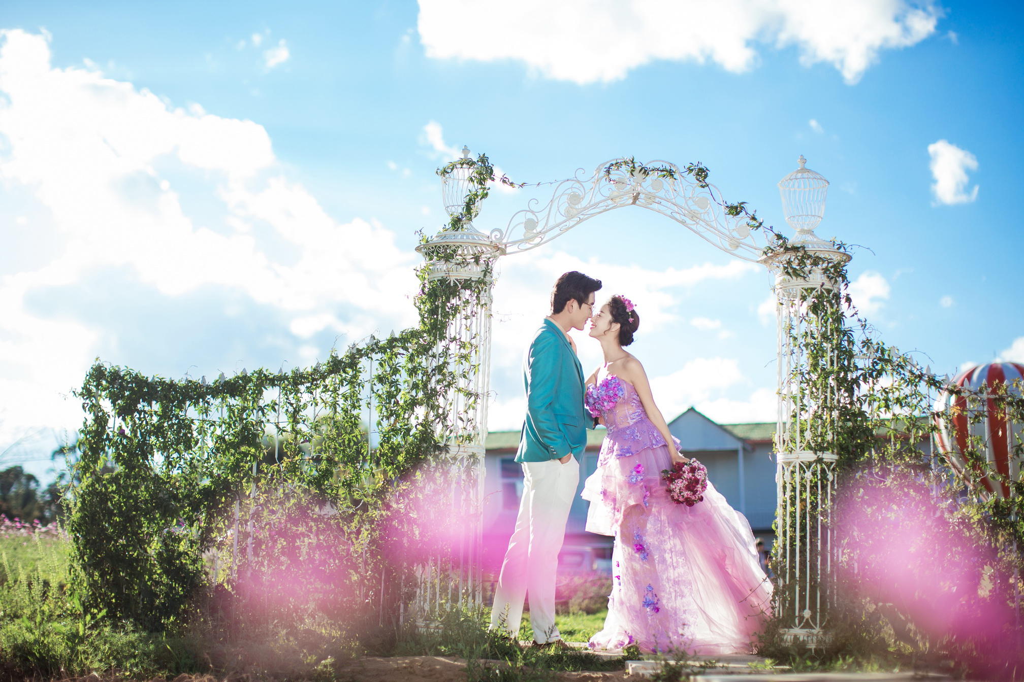 晶视觉《梦幻物语》