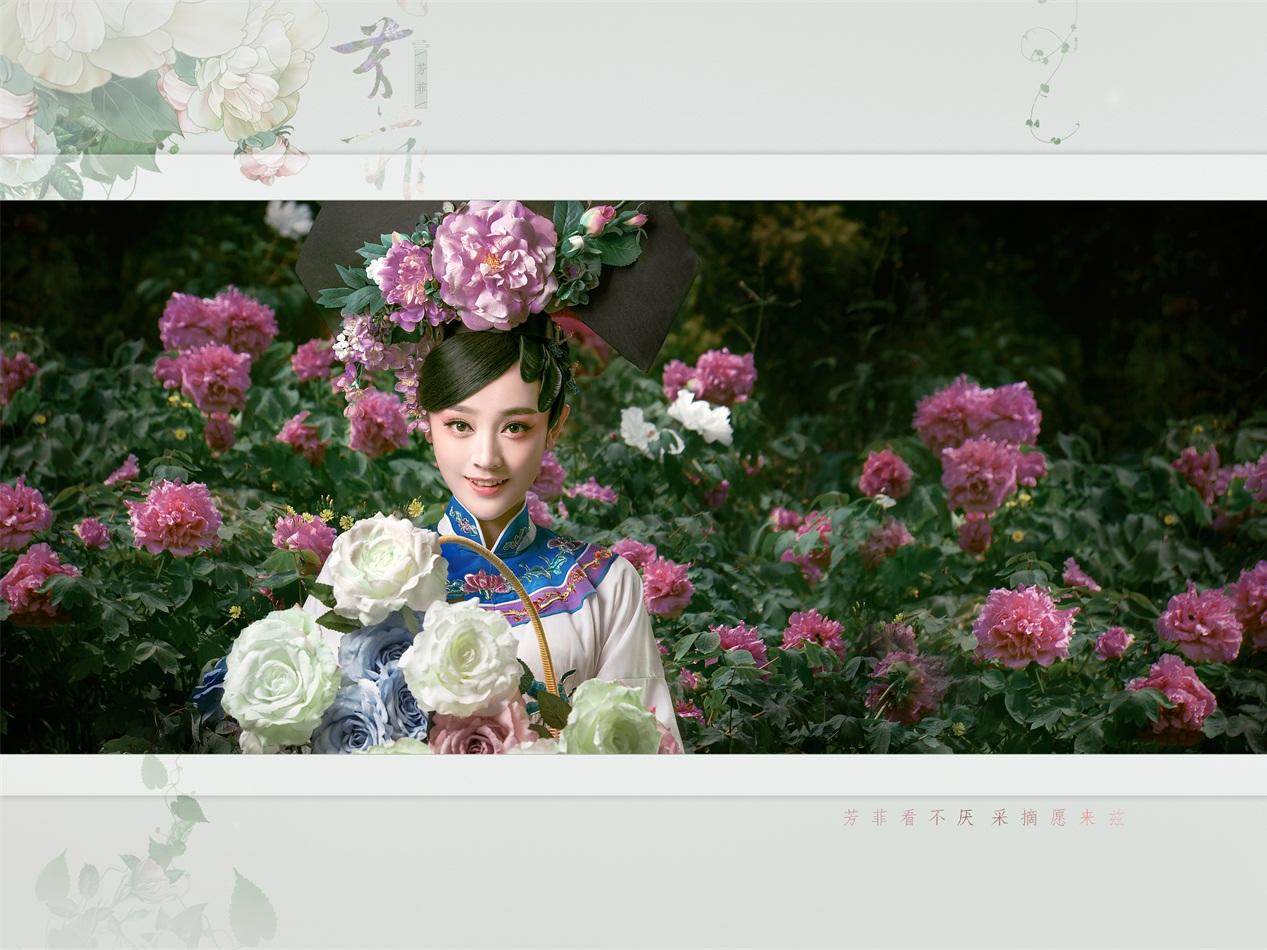 盤子女人坊新主題【芳菲】