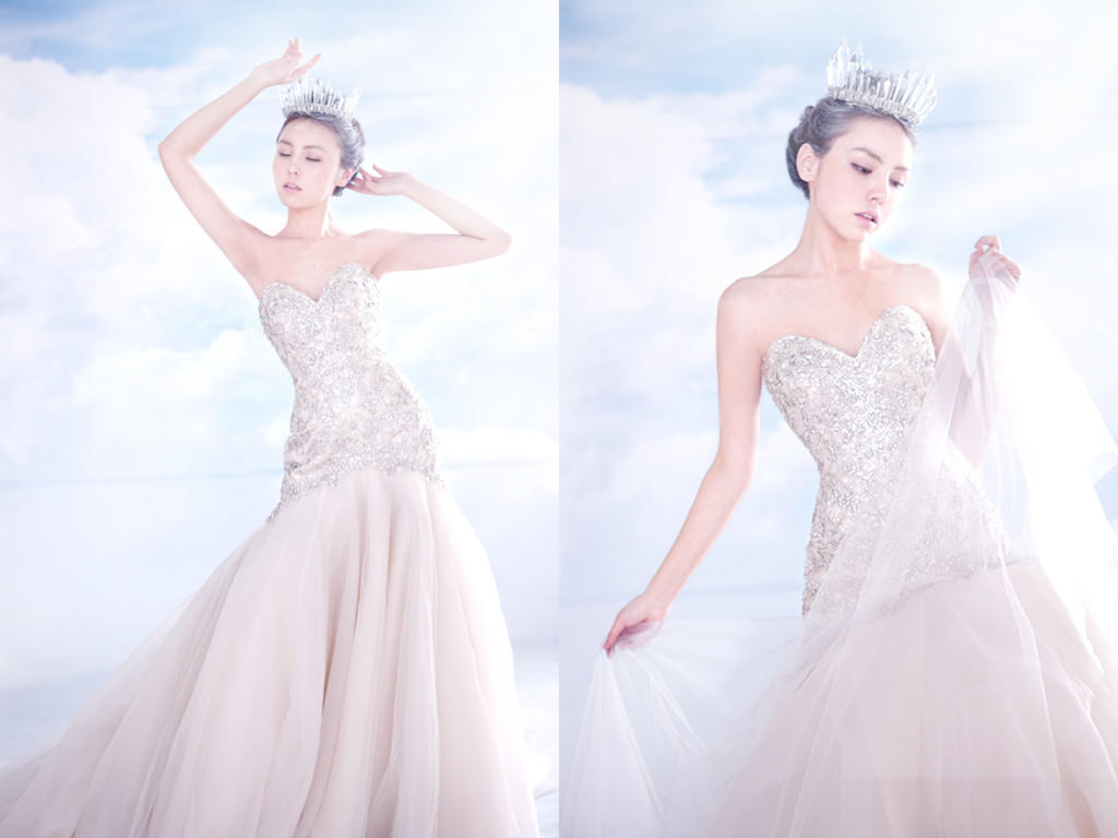 天镜系列 施华洛世奇重工鱼尾婚纱