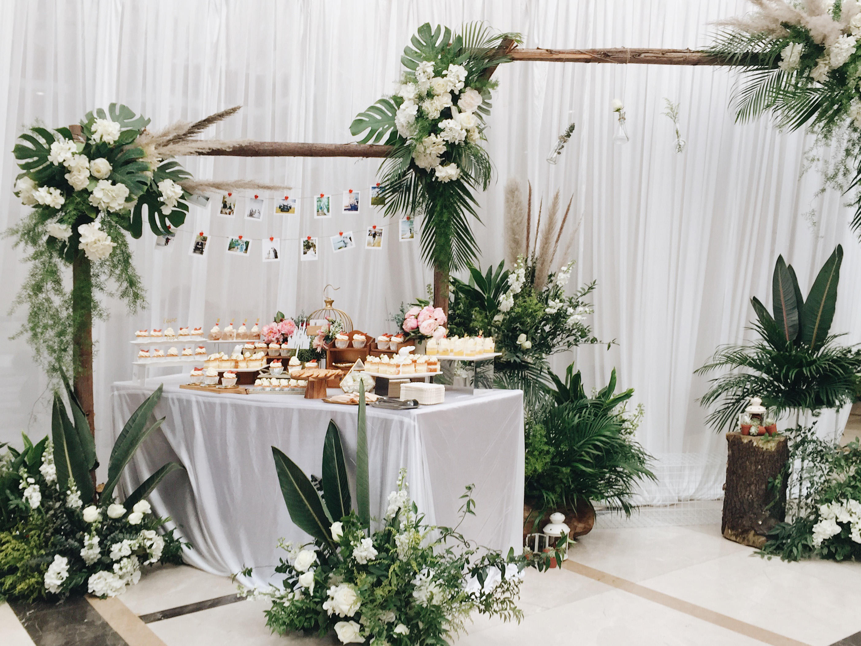 【绿幽深深】2019人气室内森系到店就送全家福