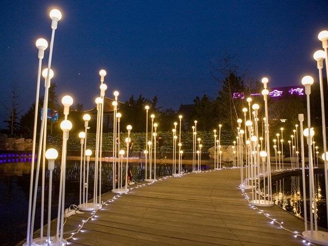 求婚——免费送求婚方案经典抢购《一见倾心》