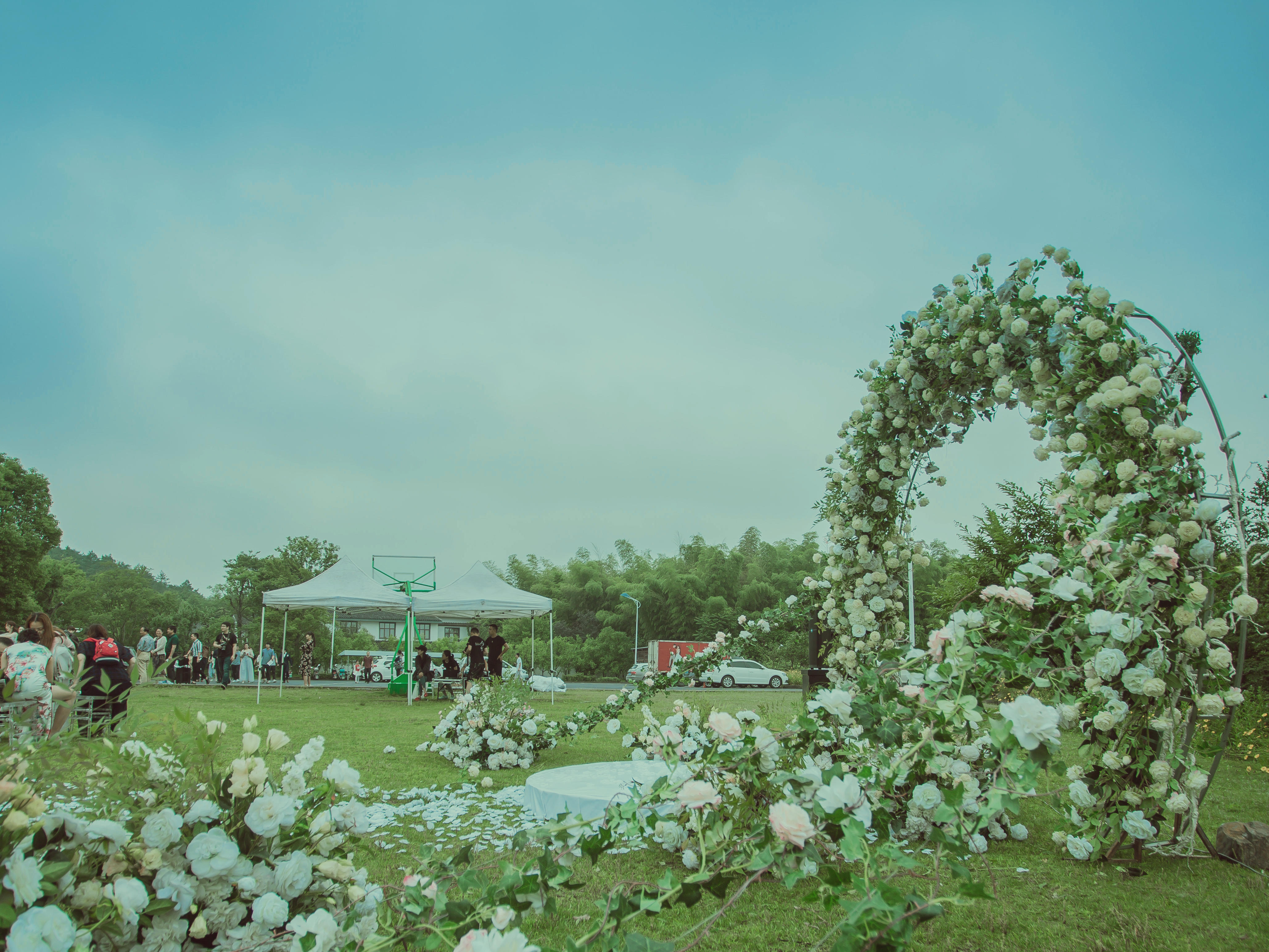 梦格【百灵鸟婚礼 lucky wedding】