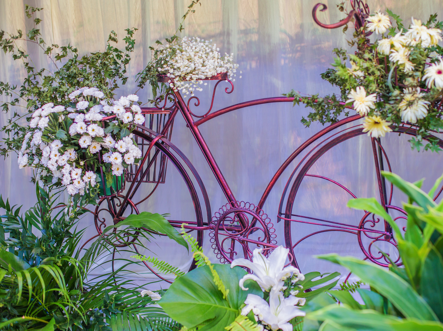 【蓝溪蔓谷】纯鲜花·经典森系婚礼