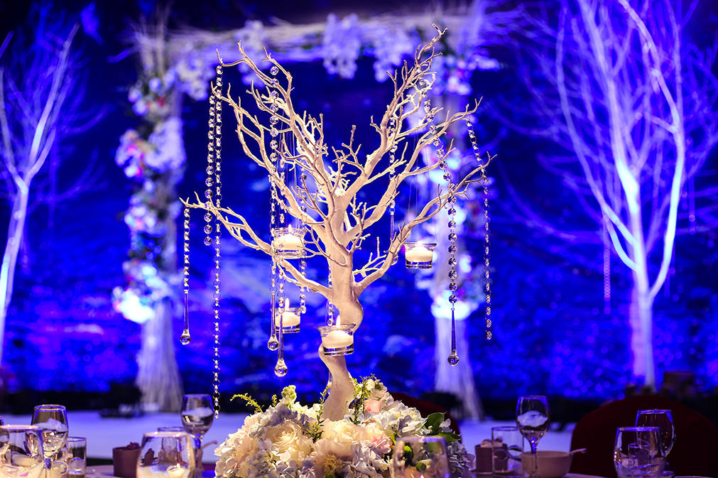 2017绿野仙踪【MC婚礼定制】