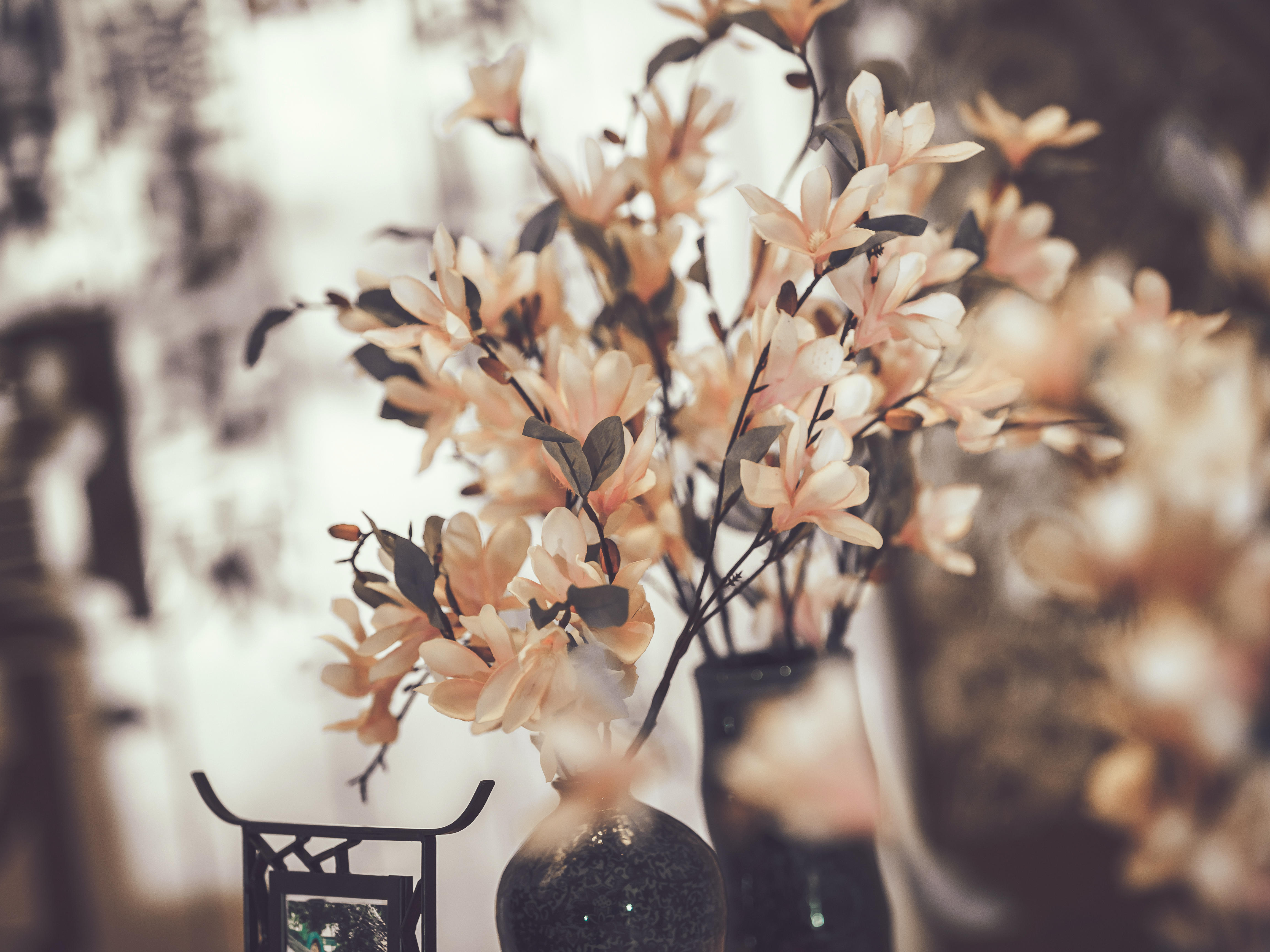 【花小姐】网红玉兰花开·香槟新中式·预算内送礼服