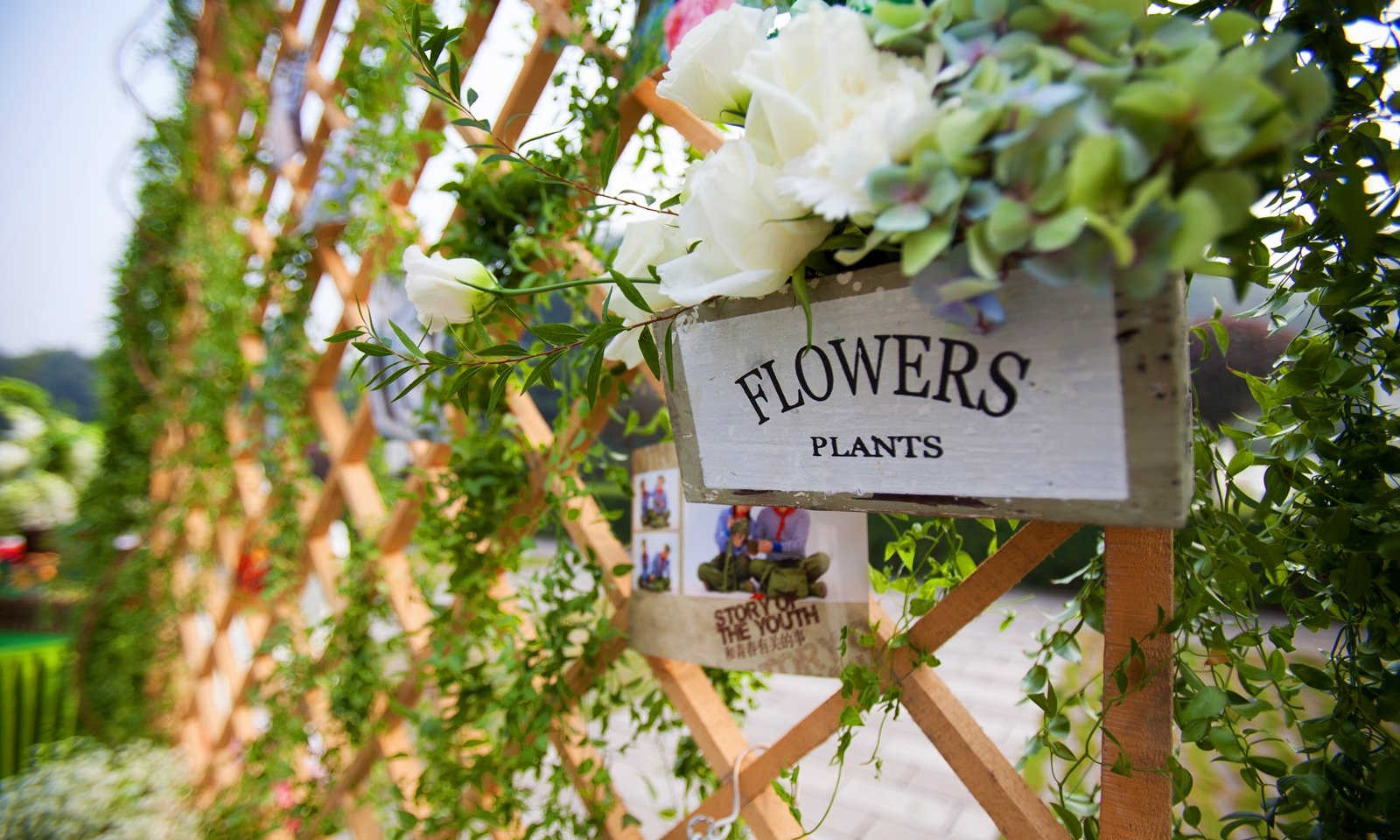 【成都唯爱婚礼作品】青涩的梦