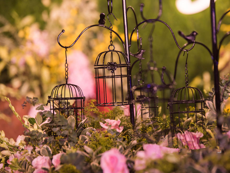 【月亮河】森系精选主题套餐