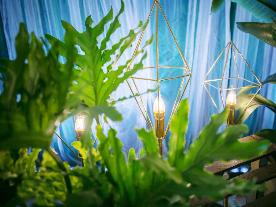 铭泽婚嫁—《陪伴是最长情的告白》